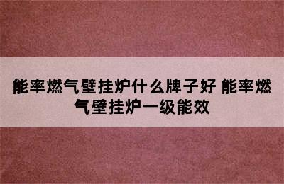 能率燃气壁挂炉什么牌子好 能率燃气壁挂炉一级能效